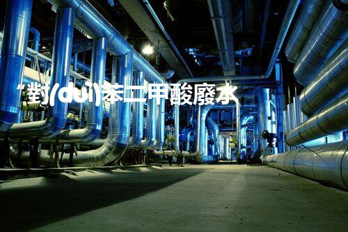 “對(duì)苯二甲酸廢水處理，綠色創(chuàng)新引領(lǐng)環(huán)保新篇章”